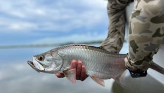 Cancun fly fishing