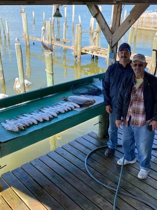 Galveston Trout and Redfish Roundup