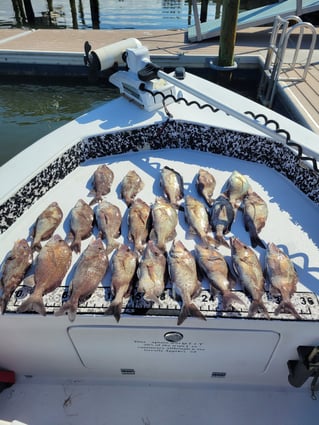 4 hour trip inshore