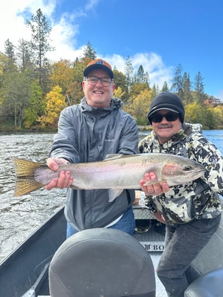 Umpqua River Winter Steelhead