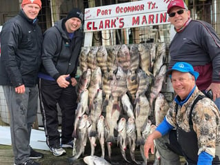 Black Drum, Sheepshead Fishing in Port O'Connor, Texas