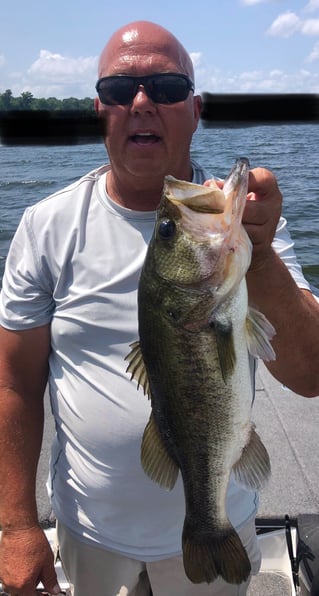 Largemouth Bass Fishing in Lake Fork, Texas