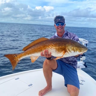 Redfish Fishing in Santa Rosa Beach, Florida