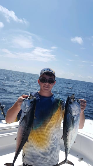 False Albacore Fishing in Destin, Florida