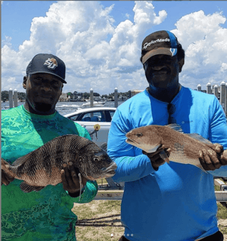 Black Drum, Redfish Fishing in Jacksonville, Florida