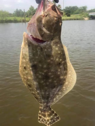 Flounder Fishing in Texas City, Texas