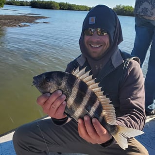 Sheepshead Fishing in New Smyrna Beach, Florida