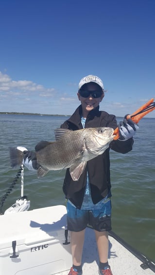 Black Drum Fishing in New Smyrna Beach, Florida