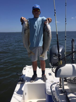 Hybrid Striped Bass, Striped Bass Fishing in Burnet, Texas