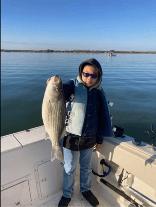 Hybrid Striped Bass Fishing in Burnet, Texas