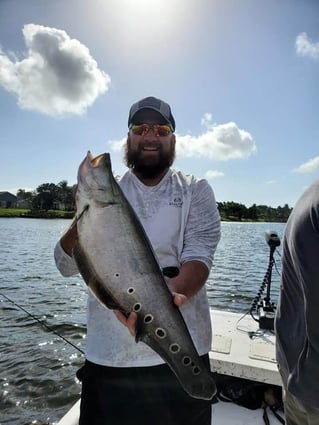 Clown Knifefish Fishing in Delray Beach, Florida