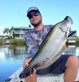 Clown Knifefish Fishing in Delray Beach, Florida