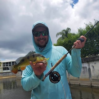 Peacock Bass Fishing in Delray Beach, Florida