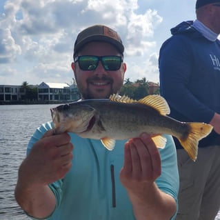 Largemouth Bass Fishing in Delray Beach, Florida