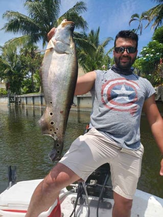 Clown Knifefish Fishing in Delray Beach, Florida