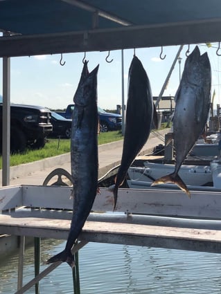 South Padre Island Deep Sea Fishing