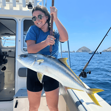 Yellowtail Fishing Coronado Islands