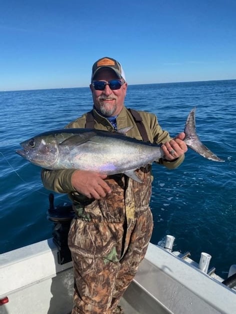 Bluefin on the Surf