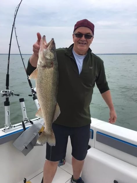 Lake Erie Walleye Run