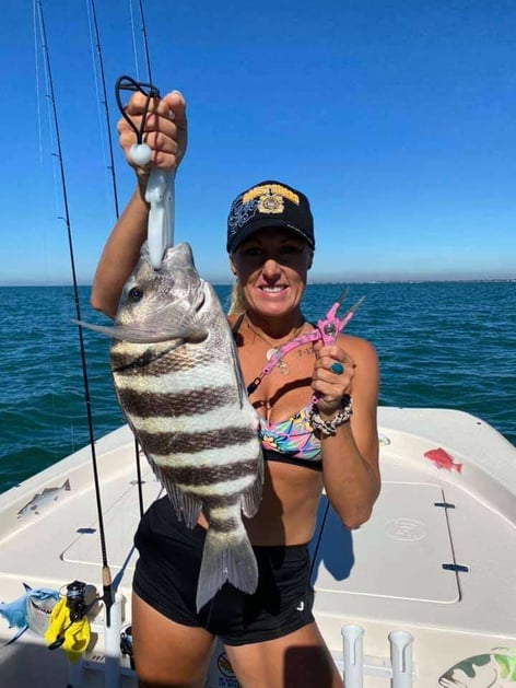 Sheepshead Fishing in Fort Myers Beach, Florida