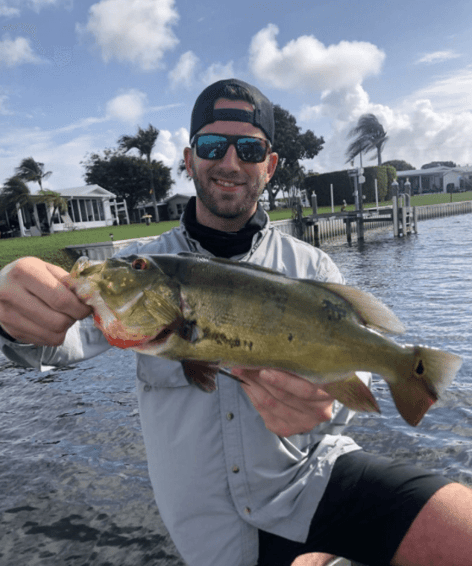 Peacock Bass Fishing in Fort Lauderdale, Florida