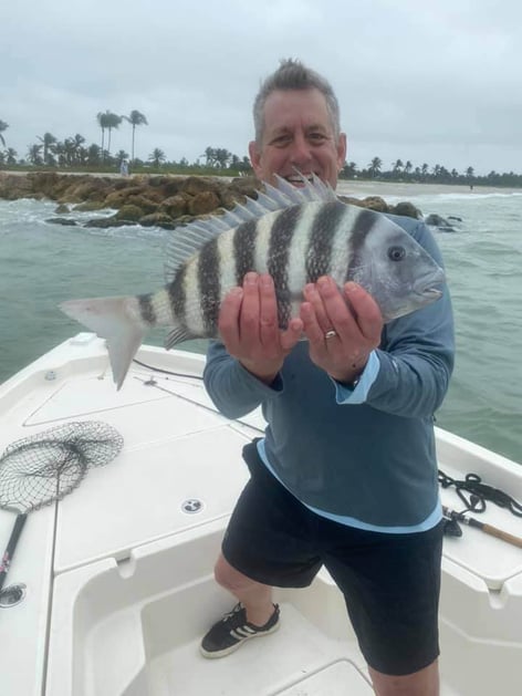 Sheepshead Fishing in Bokeelia, Florida