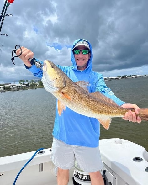 Orange Beach Inshore Fishing