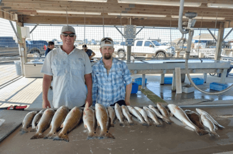 Matagorda Bay Inshore Slam