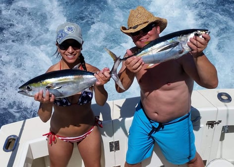 Blackfin Tuna, Yellowfin Tuna Fishing in Miami Beach, Florida