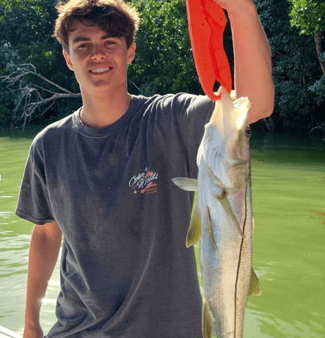 Snook Fishing in Key Largo, Florida