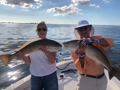 Redfish Fishing in Sarasota, Florida