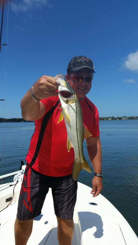 Snook Fishing in Sarasota, Florida