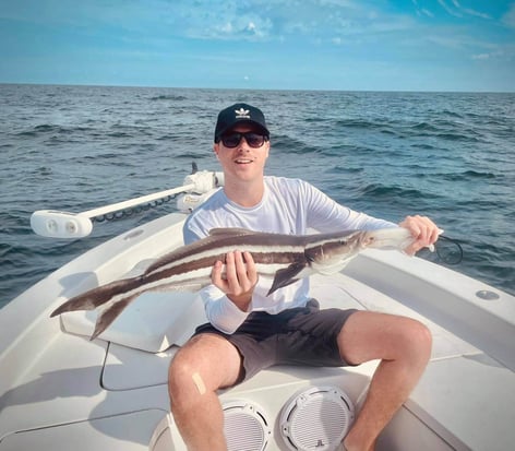 Cobia Fishing in Jacksonville, Florida