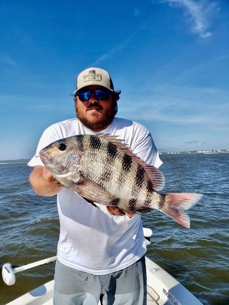 Sheepshead Fishing in Manteo, North Carolina