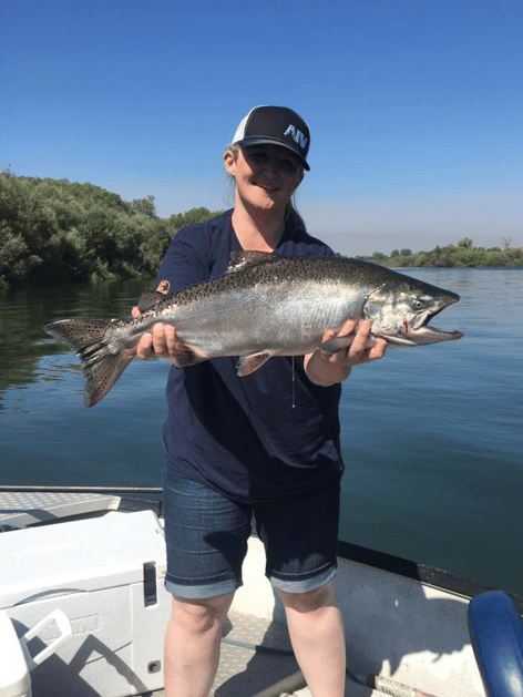 Sacramento River Kings on the Fly