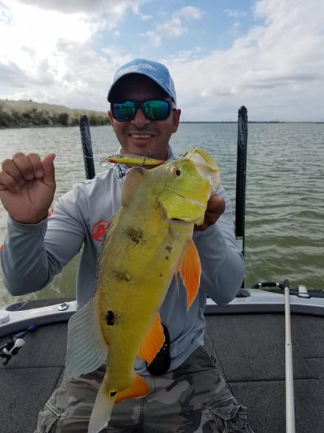 Premier Everglades Fishing