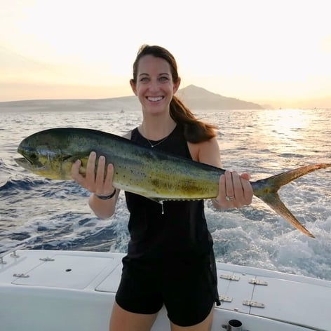 Mahi Mahi Fishing in Cabo San Lucas, Mexico