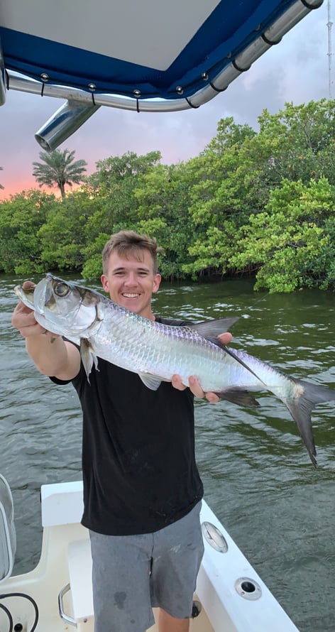 Sebastian Inlet on Light Tackle