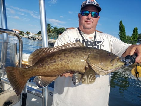 Gag Grouper Fishing in St. Petersburg, Florida