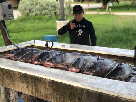 Calaveras Lake Freshwater Reds