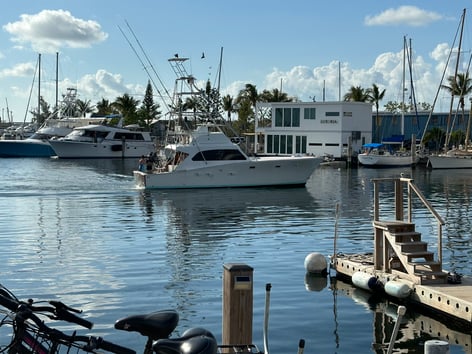 4 Hour Key West Sportfishing Adventure