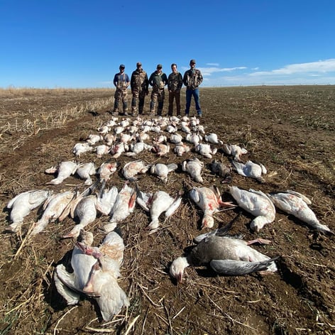 West Texas Plains Goose Hunting