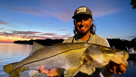 Nighttime Snapper, Snook, and Tarpon