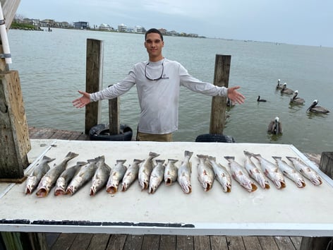 Galveston Bay Grab Bag