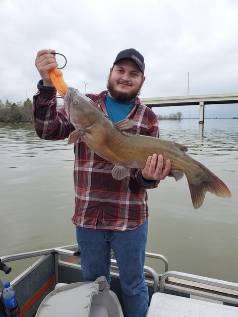 Lake Erie Catfish Special