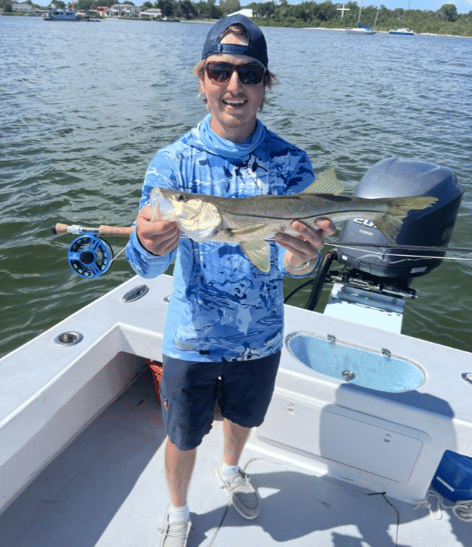 Tampa Bay Toads!