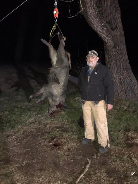 Hog Hunting in