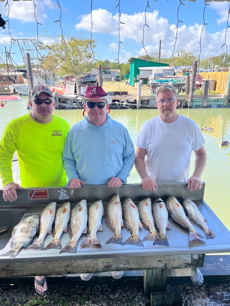 Black Drum, Redfish Fishing in Baytown, Texas