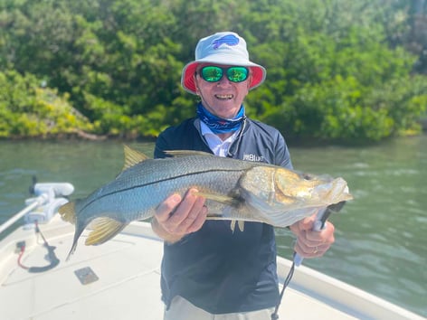 Snook Fishing in Sarasota, Florida