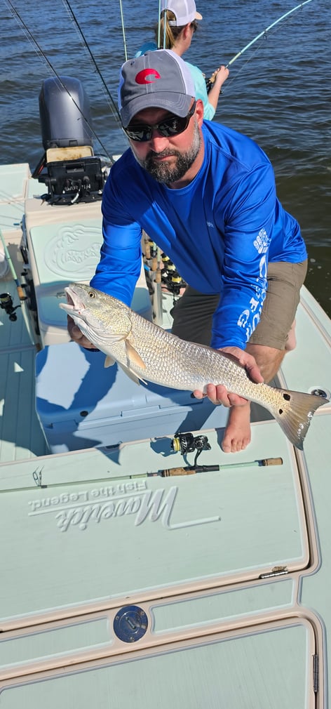 Redfish Fishing in Naples, Florida